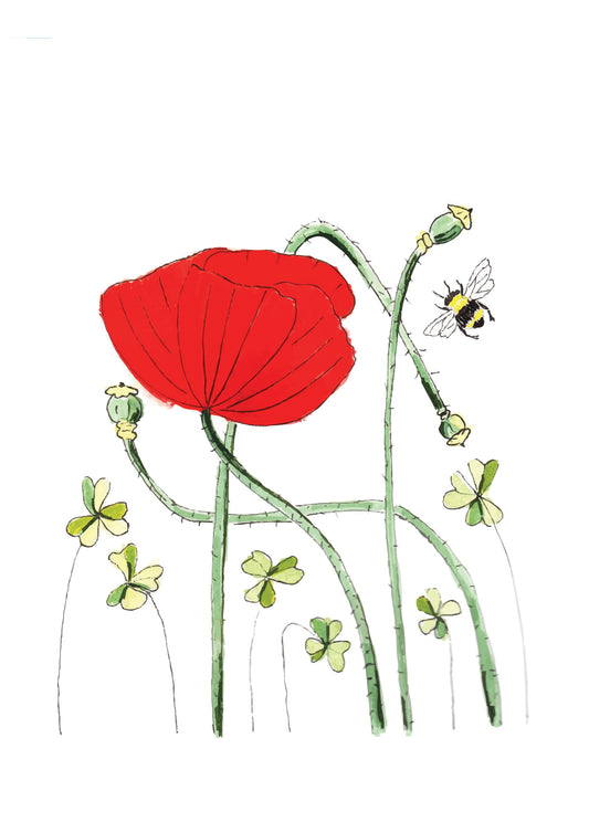 Secret life of spring poppies - 2 original artworks
