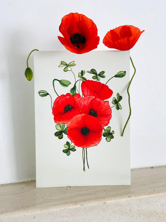 Wild Poppies postcard